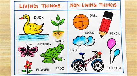 HOW TO DRAW LIVING AND NON LIVING .